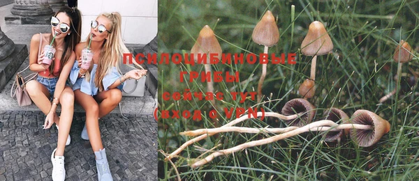 mdpv Аркадак
