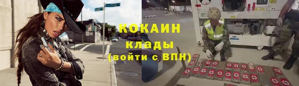 амф Арсеньев