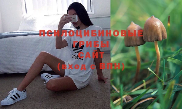 mdpv Аркадак