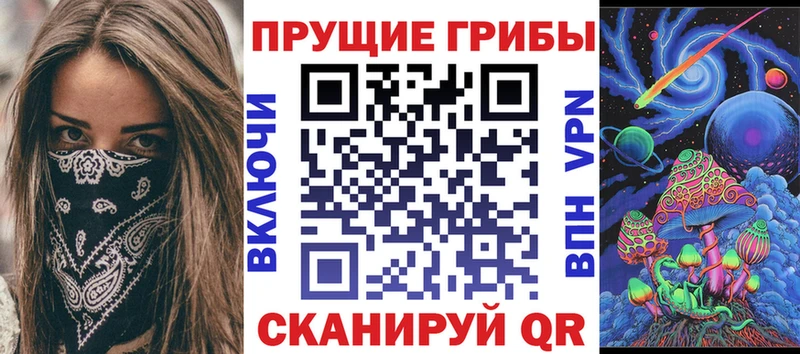 нарко площадка наркотические препараты  купить закладку  OMG tor  Павлово  Псилоцибиновые грибы Cubensis 